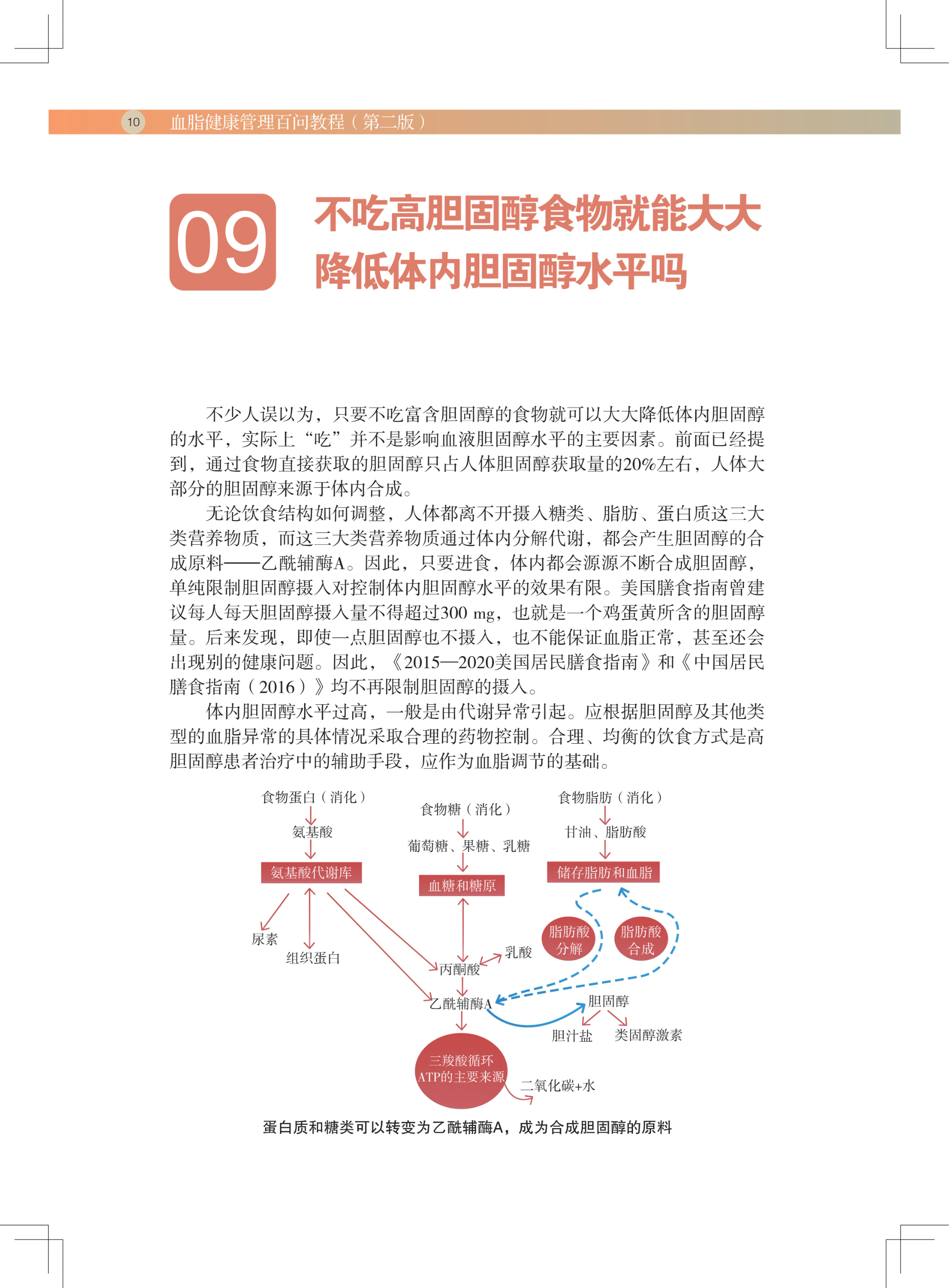 血脂健康管理百问教程（第二版）(1)_21.jpg